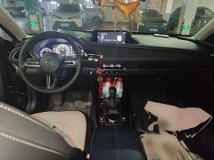 Mazda CX-30 2.0L Automatic Elegance - ფოტო 13