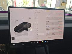 Tesla Model 3 Rear-Wheel Drive - ფოტო 8
