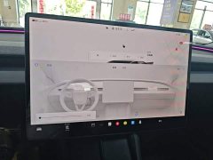 Tesla Model 3 Rear-Wheel Drive - ფოტო 9