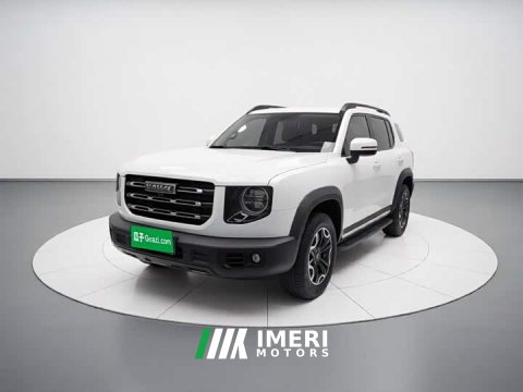 2021 Great Wall Dachshund 2.0T DCT Four-Wheel Drive Chinese Rural Dog Edition - ავტომობილი ჩინეთიდან