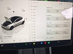 Tesla Model 3 2023 Rear-Wheel Drive - ფოტო 12