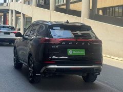 Haval H6 National Trend Edition 1.5T Automatic Champion Version - ფოტო 13