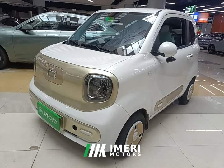 FAW Besturn Xiaoma 222km Dynamic Edition