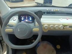 FAW Besturn Xiaoma 222km Dynamic Edition - ფოტო 6