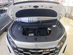 BYD Summer DM-i 1.5T 180km Exceed - ფოტო 17