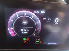 Volkswagen Lingdu L 300TSI Lingfeng Edition - ფოტო 13