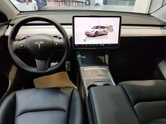 Tesla Model Y Long Range All-Wheel Drive - ფოტო 10