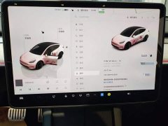 Tesla Model Y Long Range All-Wheel Drive - ფოტო 12