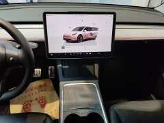 Tesla Model Y Long Range All-Wheel Drive - ფოტო 13