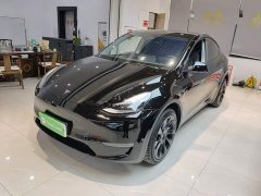 Tesla Model Y Long Range All-Wheel Drive - ფოტო 2