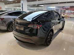 Tesla Model Y Long Range All-Wheel Drive - ფოტო 7