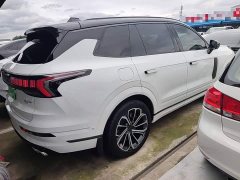 Lynk & Co 09 EM-P 2021 2.0T PHEV Halo Seven-Seater - ფოტო 5
