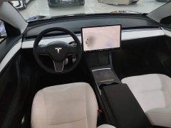 Tesla Model 3 Performance All-Wheel Drive - ფოტო 10
