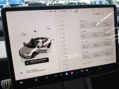 Tesla Model 3 Performance All-Wheel Drive - ფოტო 12