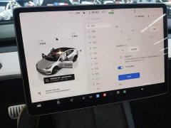 Tesla Model 3 Performance All-Wheel Drive - ფოტო 13