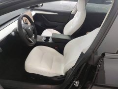 Tesla Model 3 Performance All-Wheel Drive - ფოტო 15