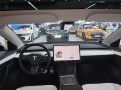 Tesla Model 3 Performance All-Wheel Drive - ფოტო 18