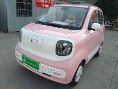 FAW Besturn Xiaoma 222km Linglong Edition - ფოტო 1