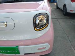 FAW Besturn Xiaoma 222km Linglong Edition - ფოტო 18