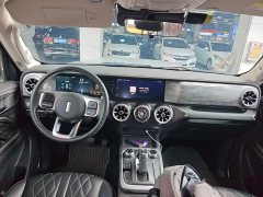 Tank 300 Off-Road Edition 2.0T Challenger - ფოტო 10