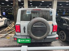 Tank 300 Off-Road Edition 2.0T Challenger - ფოტო 6