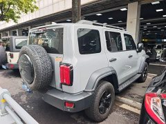 Tank 300 Off-Road Edition 2.0T Challenger - ფოტო 7