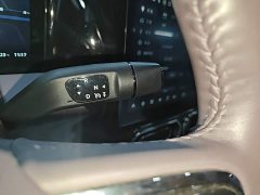 Leapmotor C11 Pure Electric 500 Smart Enjoy Edition - ფოტო 14
