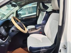 GAC Aion M8 2020 Flagship 390T Premium Edition - ფოტო 11