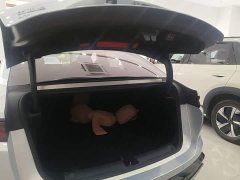 BYD Han L EV AWD LiDAR Flagship - ფოტო 19