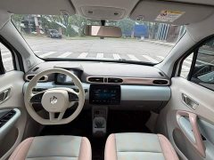 Leapmotor T03 310 Comfort Edition - ფოტო 18
