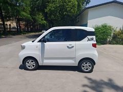 Wuling Hongguang MINIEV 2020 Deluxe Edition LFP Battery - ფოტო 7