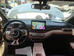 BYD Seagull Glory Edition 305km Freedom Version - ფოტო 10