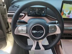 BYD Seagull Glory Edition 305km Freedom Version - ფოტო 11