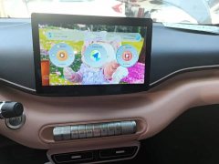 BYD Seagull Glory Edition 305km Freedom Version - ფოტო 13