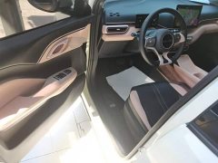 BYD Seagull Glory Edition 305km Freedom Version - ფოტო 16