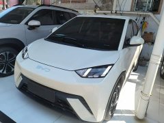 BYD Seagull Glory Edition 305km Freedom Version - ფოტო 2