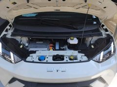 BYD Seagull Glory Edition 305km Freedom Version - ფოტო 20