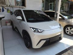 BYD Seagull Glory Edition 305km Freedom Version - ფოტო 4