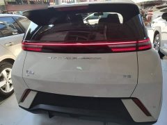 BYD Seagull Glory Edition 305km Freedom Version - ფოტო 6