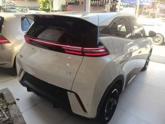 BYD Seagull Glory Edition 305km Freedom Version - ფოტო 7