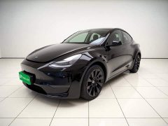 Tesla Model Y Standard Range RWD - ფოტო 1