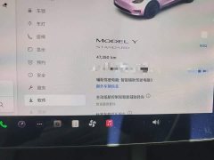 Tesla Model Y Standard Range RWD - ფოტო 5