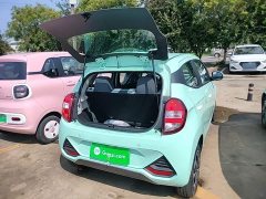 Yizhi EV2 PLUS Comfort - фото 15