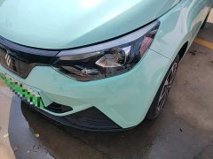 Yizhi EV2 PLUS Comfort - фото 18