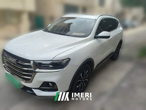 2021 Haval H6 National Trend Edition 1.5T Automatic Urban Version - ავტომობილი ჩინეთიდან