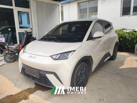 2024 BYD Seagull Glory Edition 305km Vitality Version - ავტომობილი ჩინეთიდან