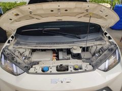 BYD Seagull Glory Edition 305km Vitality Version - ფოტო 16