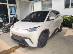 BYD Seagull Glory Edition 305km Vitality Version - ფოტო 2