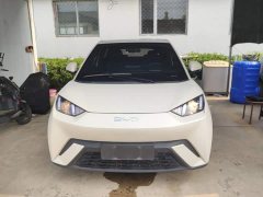 BYD Seagull Glory Edition 305km Vitality Version - ფოტო 3