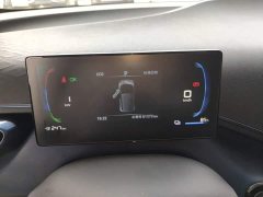 BYD Seagull Glory Edition 305km Vitality Version - ფოტო 8
